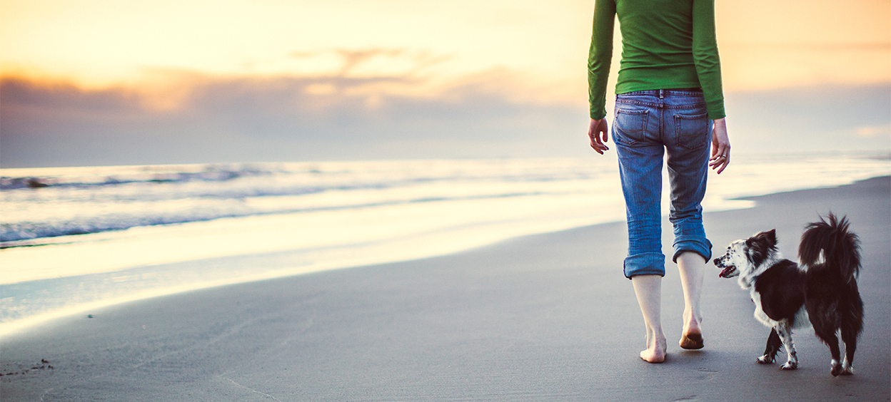 Woman and her dog walking on the beach